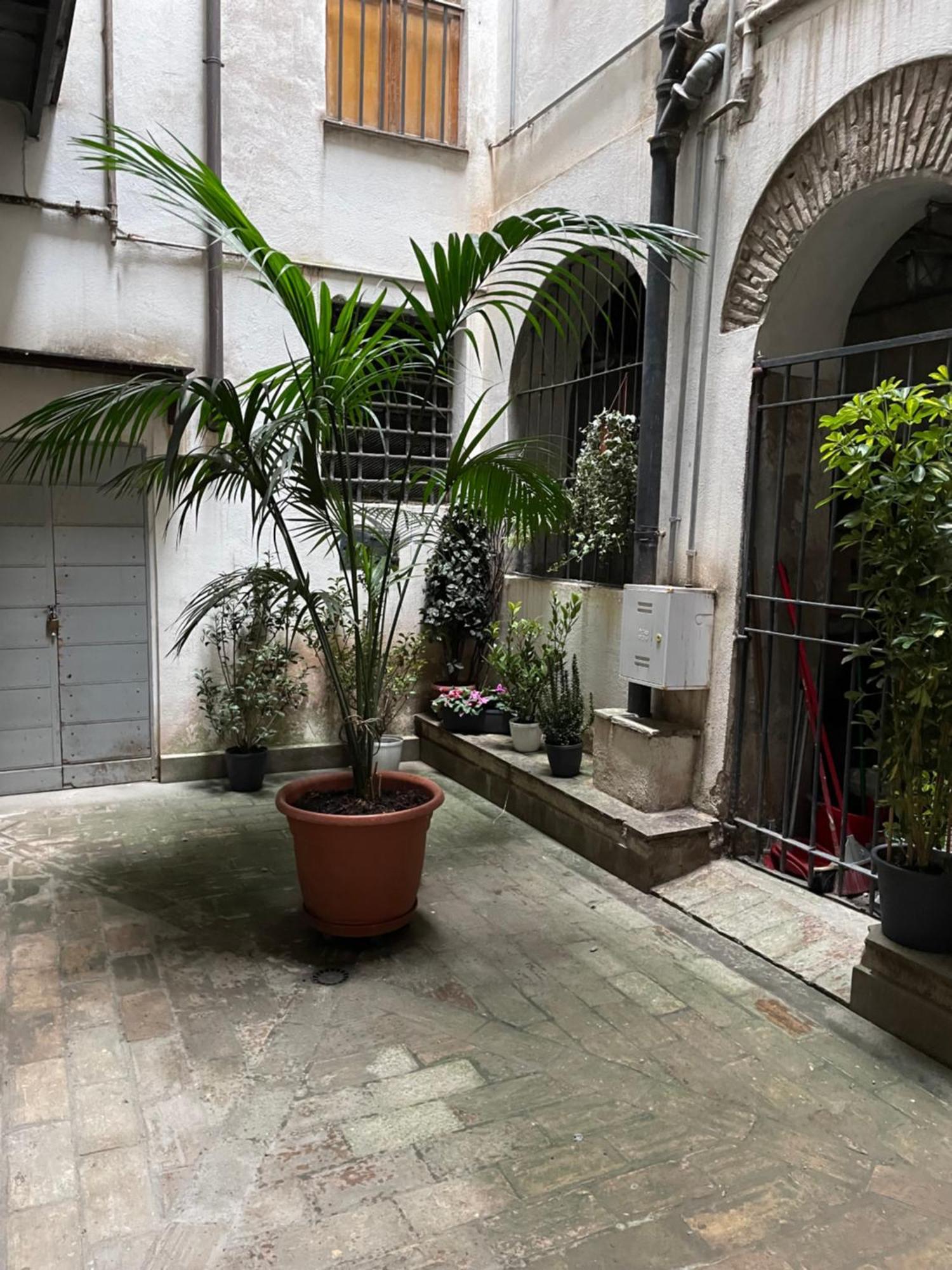 Piazza Farnese Apartment Rome